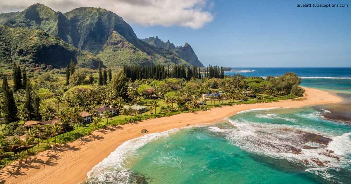 345+ Hawaii Instagram Captions That Sparkle Original & Fun